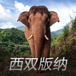 刚刚！天花板会议定调，房地产88字新提法